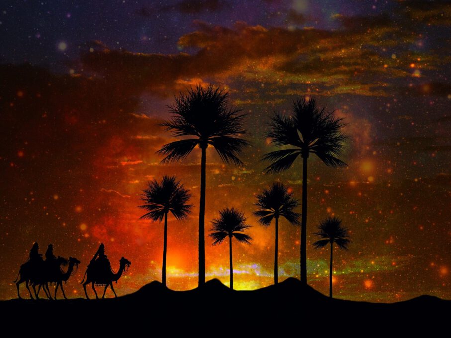 Silhouette drei Kamele und Palmen im Sonnenuntergang