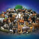 Many animals