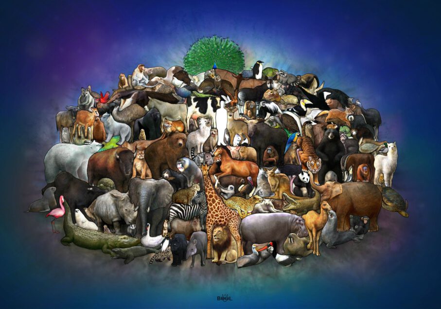 Viele Tiere